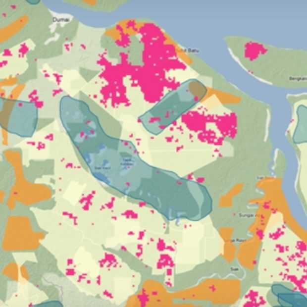 Global Forest Watch 2.0: in real-time alle bossen op aarde in kaart