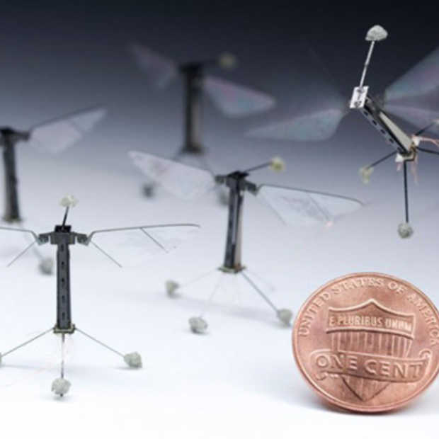 Robo-Fly, de kleinste vliegende robot ooit